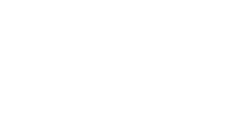 SeaBlue Project Logistics Network